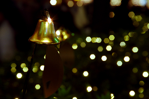 ʐ^uXmas2009 -2-v